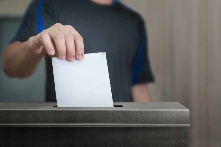 Here is a formal revision of the title:
Guidance on Disinformation for Election Candidates