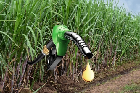 Here are a few options for a formal title, depending on your focus:
Option 1 (Most direct): Centre Clarifies Ethanol-Blended Petrol Does Not Impact Vehicle Insurance Coverage
Option 2 (More formal/authoritative): Government Denies Reports of Insurance Ineligibility for Ethanol-Blended Fuel Vehicles
Option 3 (Concise): Centre Rebuts Misinformation Regarding Ethanol-Blended Petrol and Insurance Validity
Recommendation: Option 1 is the most professional and clear for a formal report or news article.