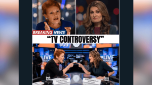 Here are a few options for a formal title, depending on the desired emphasis:
“Foreign Disinformation Campaigns Target Australian Lawmakers Hanson and Hastie” (Most descriptive)
“Australian Politicians Hanson and Hastie Targeted by Foreign Disinformation Efforts” (Focuses on the subjects)
“Foreign-State Disinformation Operations Directed at Hanson and Hastie” (Emphasizes the nature of the interference)
Recommendation: The first option is generally the most professional and common for news reporting or formal analysis.