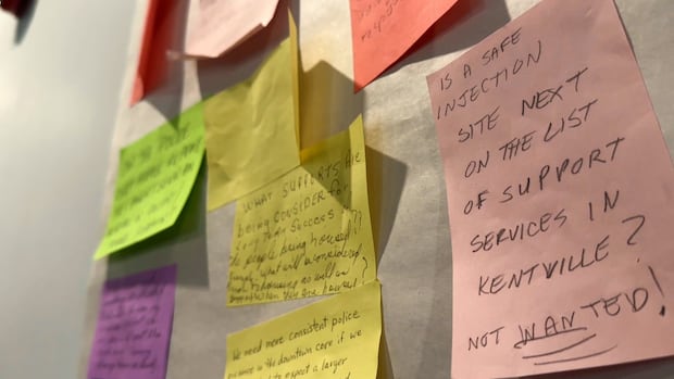 Here are a few options, depending on where the title will be published:
Most formal and direct:
Annapolis Valley Homelessness Committee Launches Website to Address Misinformation
More authoritative:
Annapolis Valley Homelessness Committee Establishes Digital Platform to Combat Misinformation
Concise:
Committee on Homelessness Launches Website to Counter Misinformation in the Annapolis Valley
Recommendation: The first option, “Annapolis Valley Homelessness Committee Launches Website to Address Misinformation,” is the most standard and professional choice for a formal report, press release, or news headline.