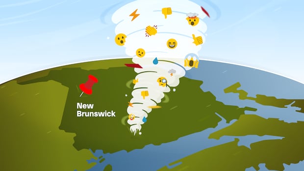 Here are a few options for a formal title, depending on your preferred focus:
Option 1 (Most formal/Direct): The Proliferation of Misinformation Regarding New Brunswick Weather Alerts on Social Media
Option 2 (Focus on the phenomenon): From Weather Alert to Viral Misinformation: An Analysis of the New Brunswick Storm Narrative
Option 3 (Academic/Descriptive): The Distortion of Meteorological Data: A Case Study of Social Media Misinformation Concerning New Brunswick Weather Alerts
Recommendation: Option 1 is the most professional and suitable for a report or formal article.