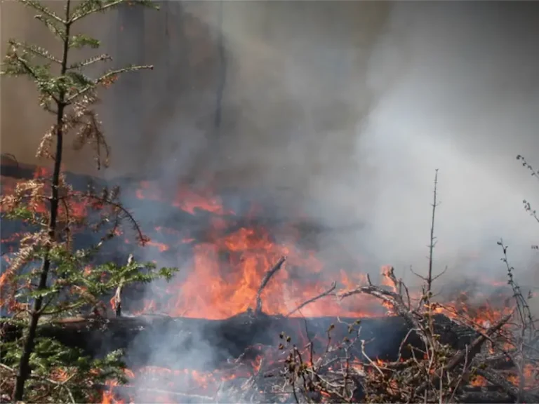 Here is a formal rewrite of the title:
Wildfire Season Intensifies: First Nations Communities Confront Blazes Amid Escalating Misinformation