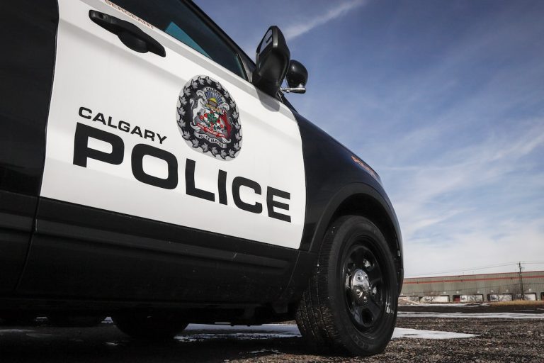 Here are a few options for a formal rewrite, depending on your focus:
Most direct: “Online Misinformation Hinders Search Efforts for Missing Calgary Youth”
More authoritative: “Dissemination of Online Misinformation Impedes Search for Missing Calgary Boy”
Concise: “Search for Missing Calgary Boy Obstructed by Viral Misinformation”
Recommendation: The first option, “Online Misinformation Hinders Search Efforts for Missing Calgary Youth,” is the most professional and standard for formal reporting.