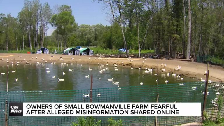 Here are a few options for a formal rewrite, depending on the specific focus of your piece:
Option 1 (Direct and precise):
Small-Scale Bowmanville Farmers Express Concern Over Alleged Online Misinformation
Option 2 (Slightly more journalistic):
Bowmanville Smallholders Voice Apprehension Regarding Spread of Online Misinformation
Option 3 (Emphasis on the impact):
Alleged Online Misinformation Prompts Concern Among Bowmanville Small-Farm Owners
Recommendation: Option 1 is the most standard and professional choice for a formal report or news article.