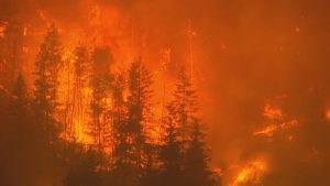 The Role of Artificial Intelligence and Conspiracy Theories in Exacerbating Wildfire Misinformation