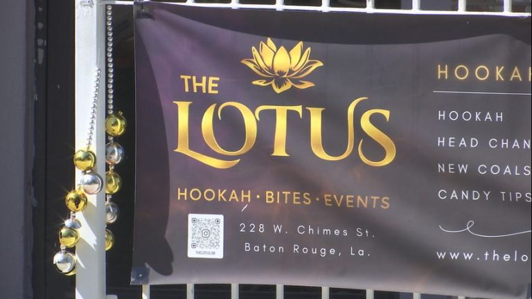 Hookah Lounge Issues Statement on West Chimes Street Gathering, Attributing Blame to Misinformation