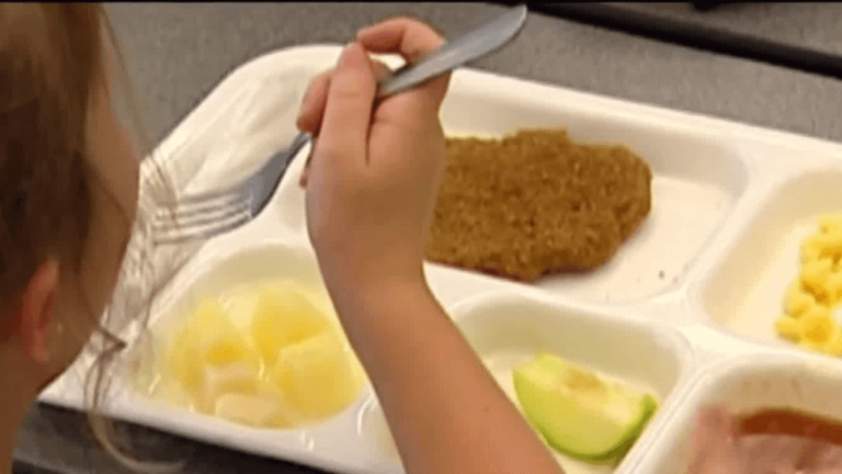 Health Experts Offer Evidence-Based Guidance for Navigating Online Nutrition Misinformation
