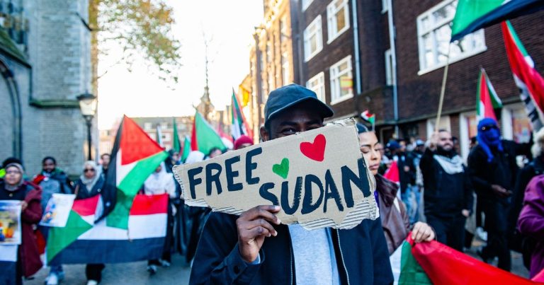 The Instrumentalization of Social Media in the Sudanese Conflict