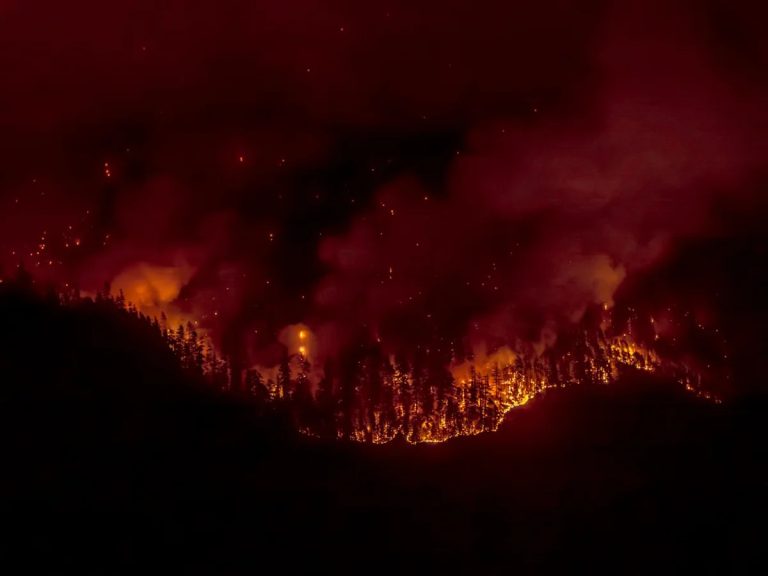 Here are a few options for a formal rewrite, depending on your focus:
Most direct: “The Proliferation of Misinformation Regarding U.S. Aid to Canadian Firefighting Efforts”
Most journalistic: “Misinformation Circulates Concerning U.S. Assistance for Canadian Wildfire Suppression”
Most concise: “Analysis of Disinformation Trends in U.S.-Canada Wildfire Relief Efforts”
Recommendation: “The Proliferation of Misinformation Regarding U.S. Aid to Canadian Firefighting Efforts” is the most standard formal choice for a report or academic paper.