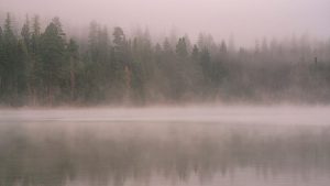 Clarifying the Facts Regarding the Roadless Rule Rescission