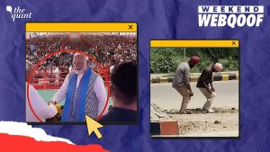 A Recap of Misinformation Concerning Prime Minister Modi, Donald Trump, and Other Topics