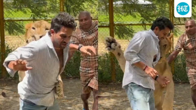 Kiran Raj Issues Formal Clarification on Lion Attack Video and Denounces Spread of Misinformation