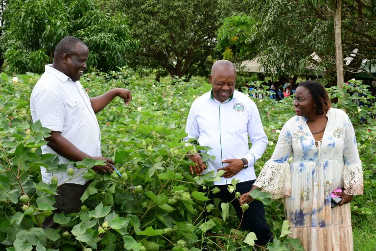 NBA Intensifies Campaign Against Misinformation on GMOs