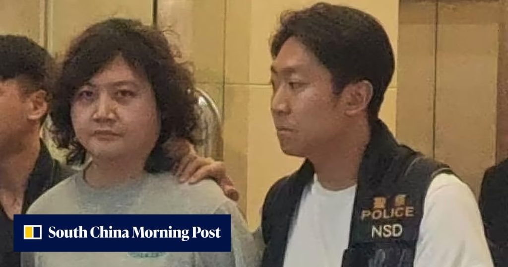 Hong Kong National Security Police Arrest Founder of Boom News and Another Individual