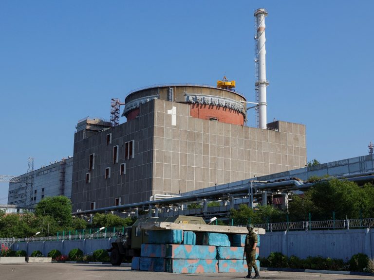 Greenpeace Alleges Russian Sabotage of Power Supply Lines at Zaporizhzhia Plant