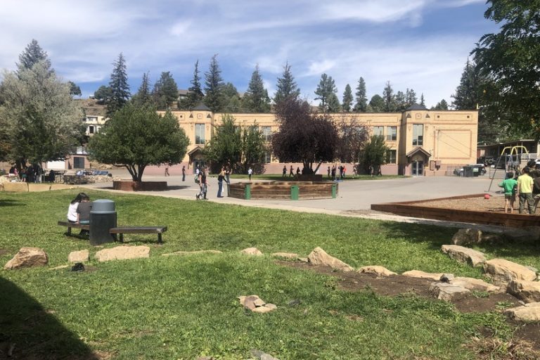 Editorial: Distinguishing Misinformation from Disinformation in Pagosa Springs, Part One